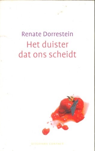 Het duister dat ons scheidt - Renate Dorrestein