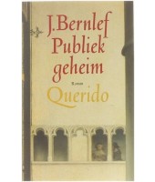 Publiek geheim - J. Bernlef